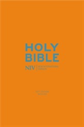  NIV Pocket Cyan Soft-tone Bible with Zip