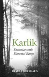  Karlik