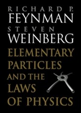  Elementary Particles and the Laws of Physics