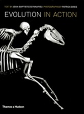  Evolution in Action: Natural History through Skeletons