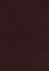  KJV, The King James Study Bible, Bonded Leather, Burgundy, Indexed, Full-Color Edition