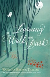  Learning to Walk in the Dark
