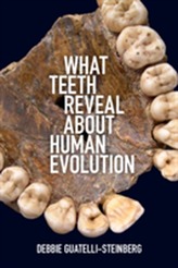  What Teeth Reveal about Human Evolution