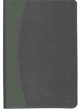  KJV Personal Concord Reference Bible, red letter, black and green two-tone imitation leather KJ462:XR