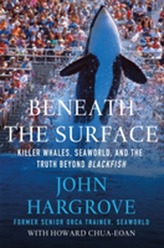  Beneath the Surface