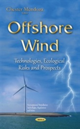  Offshore Wind