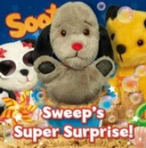  Sweep's Super Surprise