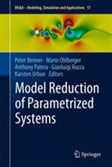  Model Reduction of Parametrized Systems