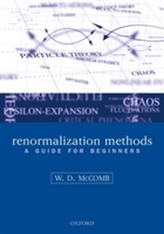  Renormalization Methods