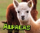  Alpacas