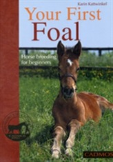 Your First Foal