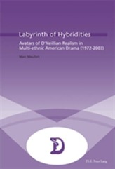  Labyrinth of Hybridities