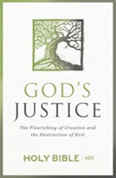  NIV God's Justice Bible