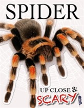  Up Close & Scary Spider