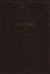  KJV, Know The Word Study Bible, Imitation Leather, Burgundy, Red Letter Edition