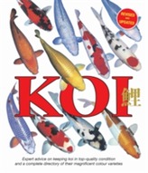  Koi