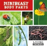  Minibeast Body Parts