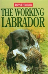 The Working Labrador