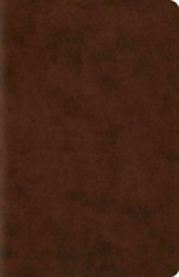  ESV Wide Margin Reference Bible