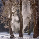  Yosemite