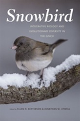  Snowbird