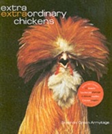  Extra Extraordinary Chickens