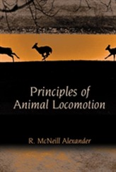  Principles of Animal Locomotion