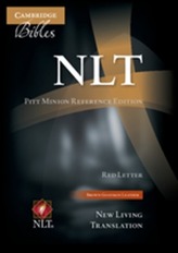 NLT Pitt Minion Reference Edition NL446:XR brown goatskin leather
