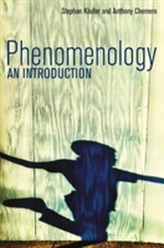  Phenomenology - an Introduction