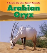  Arabian Oryx