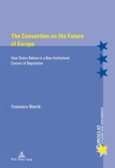 The Convention on the Future of Europe
