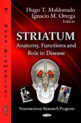  Striatum