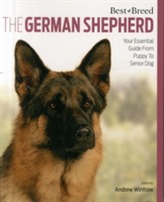  German Shepherd Dog