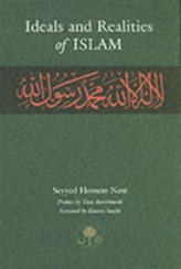  Ideals and Realities of Islam