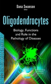  Oligodendrocytes