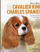  Cavalier King Charles Spaniel Best of Breed
