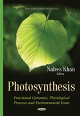  Photosynthesis