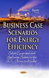  Business Case Scenarios for Energy Efficiency