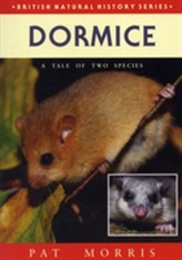  Dormice