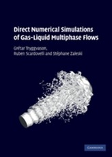  Direct Numerical Simulations of Gas-Liquid Multiphase Flows