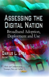 Assessing the Digital Nation