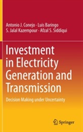  Investment in Electricity Generation and Transmission