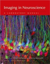  Imaging in Neuroscience