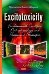  Excitotoxicity