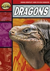  Rapid Stage 2 Set B: Dragons (Series 1)