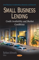 Small Business Lending