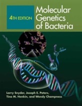  Molecular Genetics of Bacteria