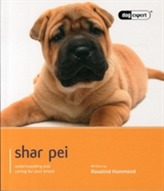  Shar Pei