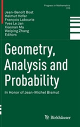  Geometry, Analysis and Probability