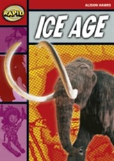 Rapid Stage 2 Set B: Ice Age (Series 2)